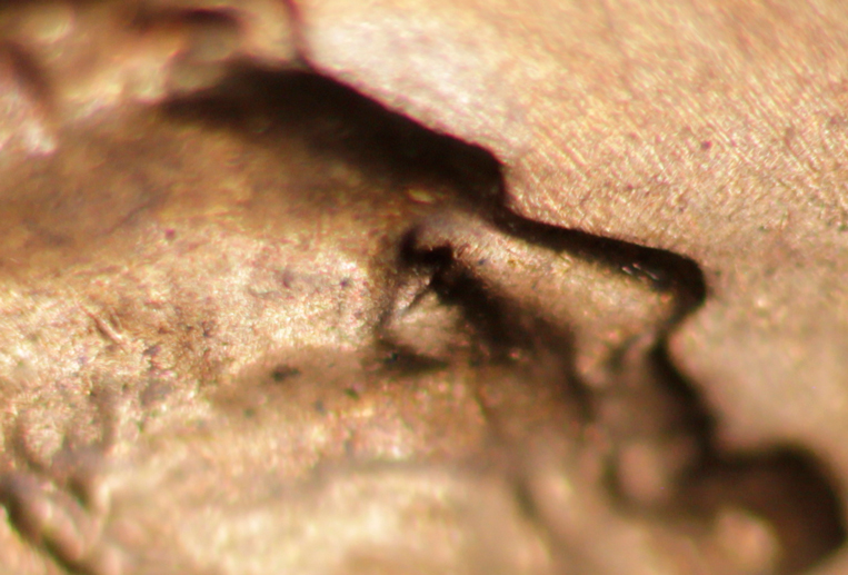 Lincoln-Cent-1960-D-Unattributed-DDO